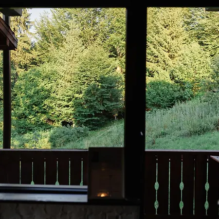 Forest View Marcus * Poiana Brasov