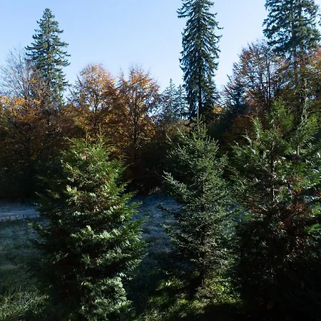 Forest View Marcus Apartment